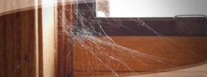 Mark Roemer image of a house window with cobwebs